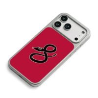 8 shape black snake on red iPhone 17 Pro Max Electroplated Silver Case2