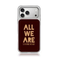 AllWeAreIsEverythingThatsRight iPhone 17 Pro Max Electroplated Silver Case1