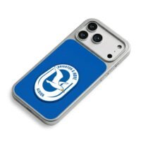 Brighton Hove Albion seagull iPhone 17 Pro Max Electroplated Silver Case2
