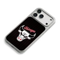 Chicago Bulls bull head logo iPhone 17 Pro Max Electroplated Silver Case2