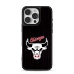 Chicago Bulls logo red script stripes Phone Case for iPhone 11-17 & Samsung Galaxy S24-S26