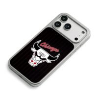 Chicago Bulls logo red script stripes iPhone 17 Pro Max Electroplated Silver Case2